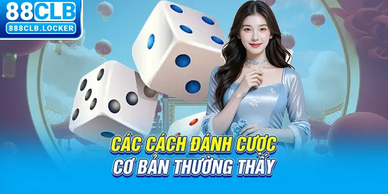 Các cách đánh cược cơ bản thường thấy