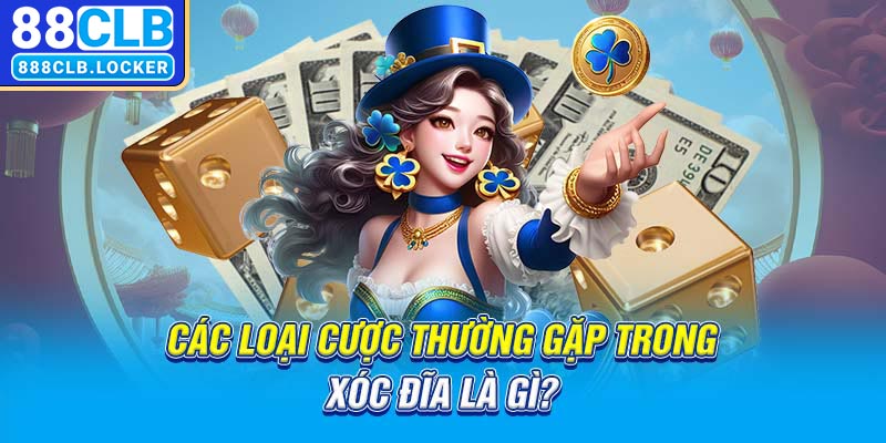 Các loại cược thường gặp trong xóc đĩa là gì?