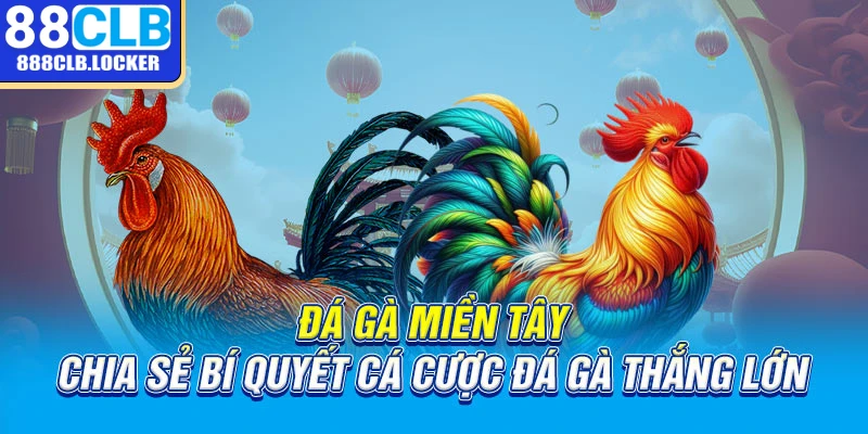 Đá gà miền tây chia sẻ bí quyết cá cược đá gà thắng lớn