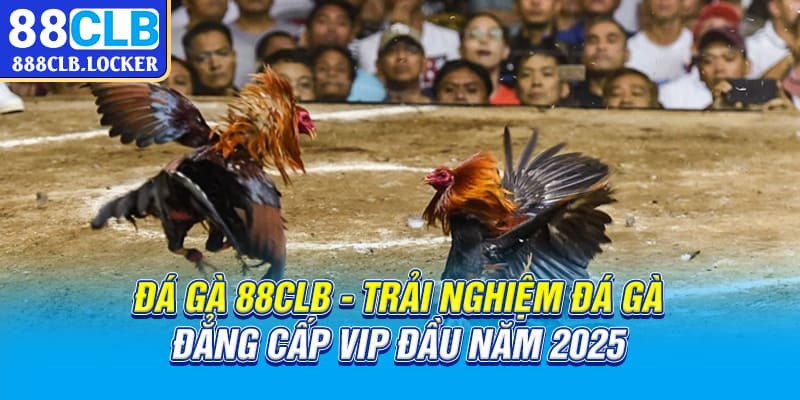 Đá gà 88CLB trải nghiệm đá gà đẳng cấp vip đầu năm 2025