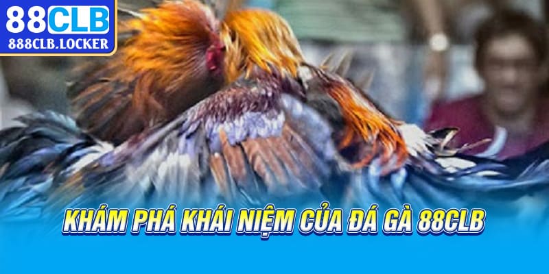 Khám phá khái niệm của đá gà 88CLB