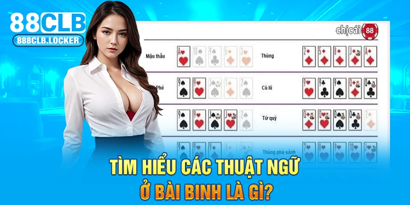 Tìm hiểu các thuật ngữ ở bài Binh là gì?