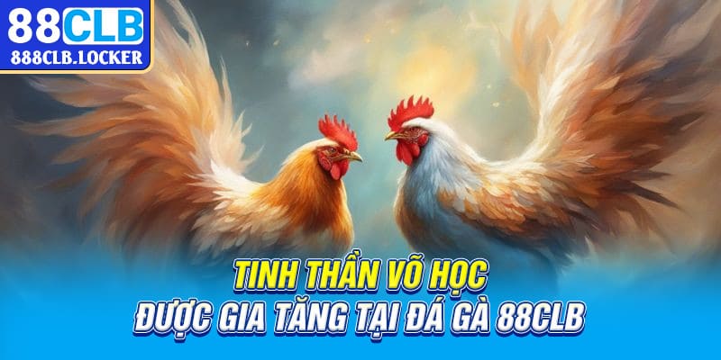 Tinh thần võ học được gia tăng tại đá gà 88CLB