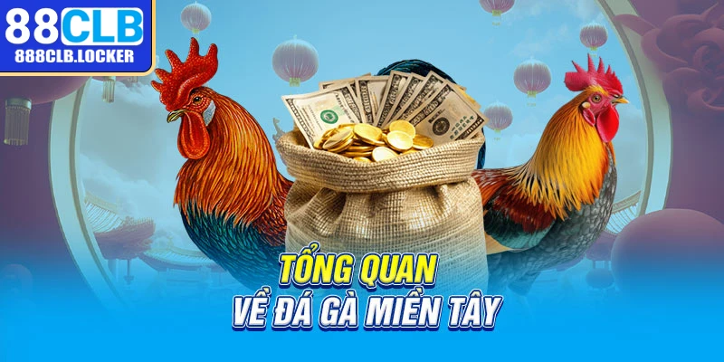 Tổng quan về đá gà miền Tây