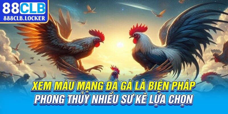 Xem màu mạng đá gà là biện pháp phong thủy nhiều sư kê lựa chọn